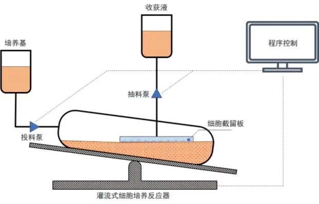 灌流式生物反應袋結構示意圖