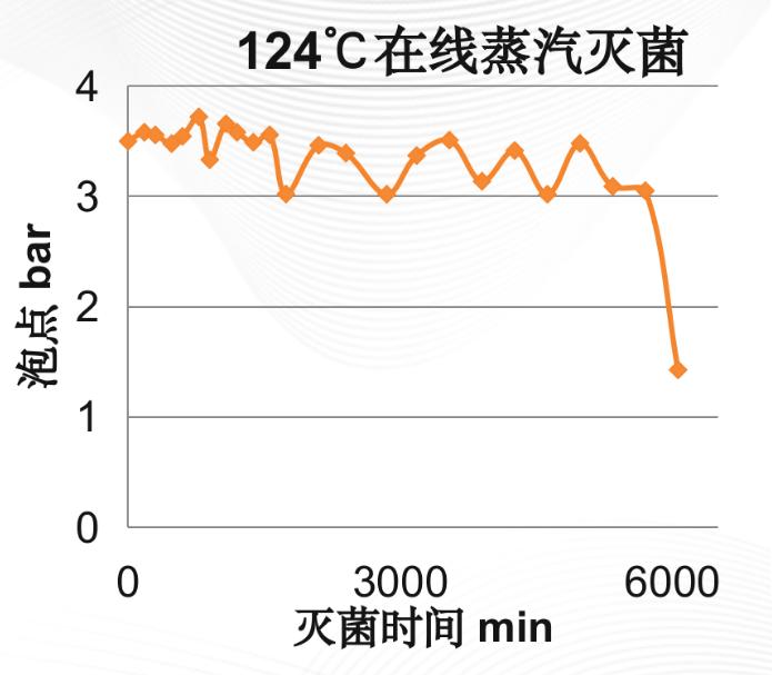 親水性PES濾芯在線滅菌